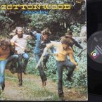 cottonwood_camaderie_us.jpg